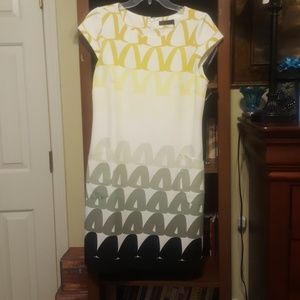 The Limited Dress (new)